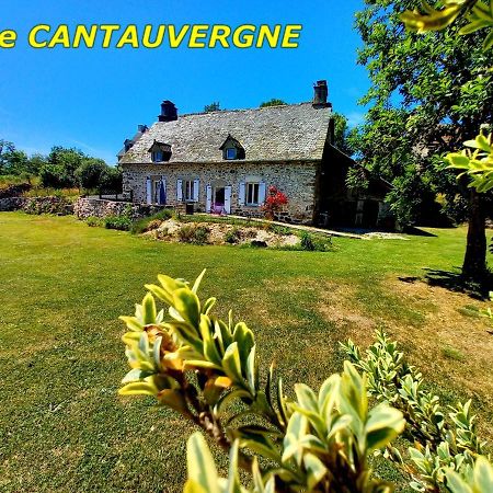 Gite Cantauvergne Villa Vebret Exteriör bild
