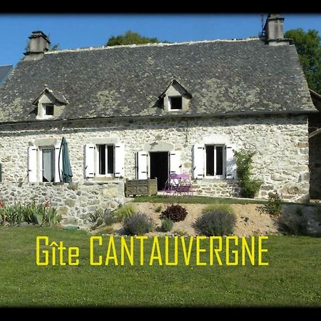 Gite Cantauvergne Villa Vebret Exteriör bild