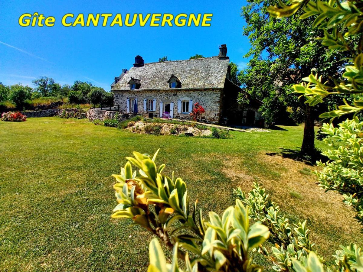 Gite Cantauvergne Villa Vebret Exteriör bild