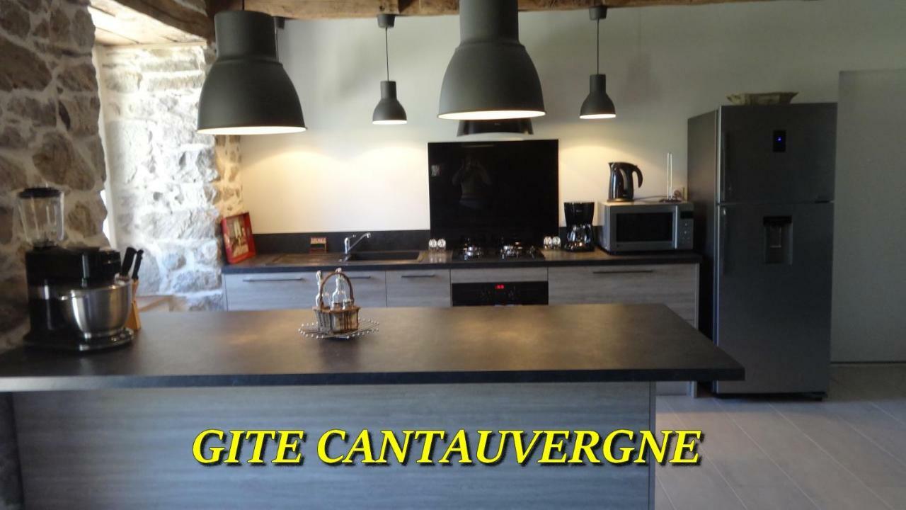 Gite Cantauvergne Villa Vebret Exteriör bild
