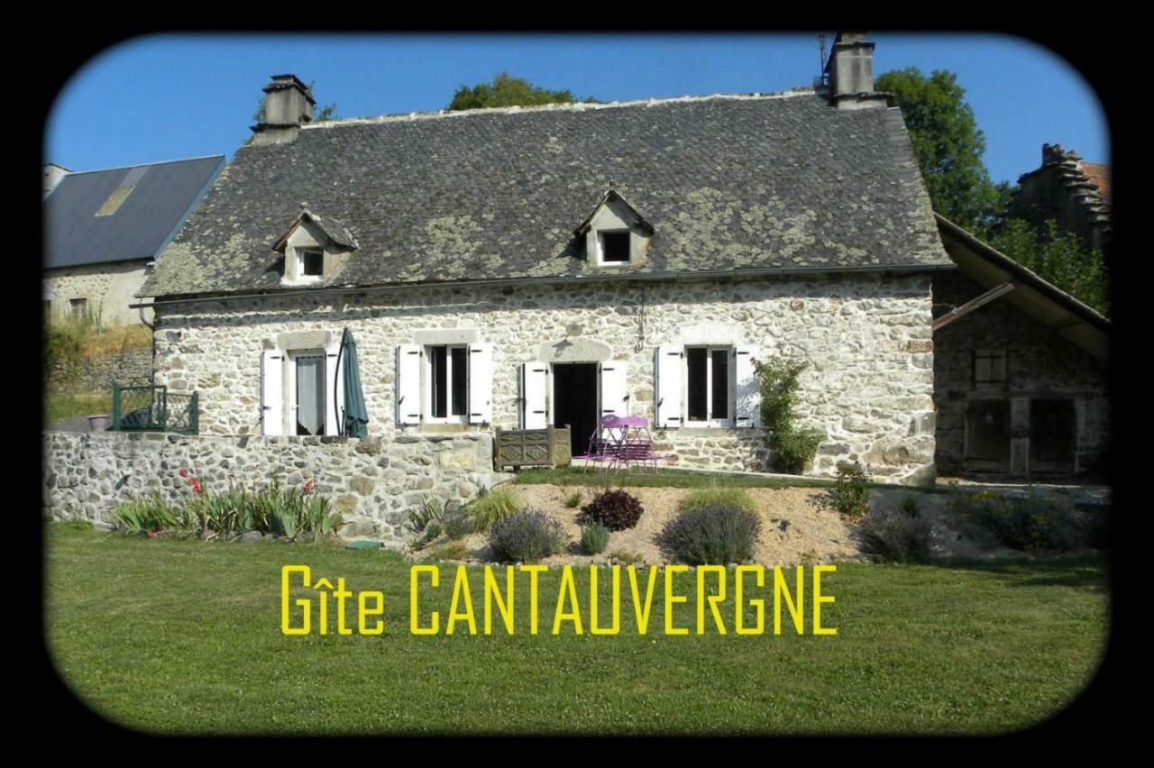 Gite Cantauvergne Villa Vebret Exteriör bild