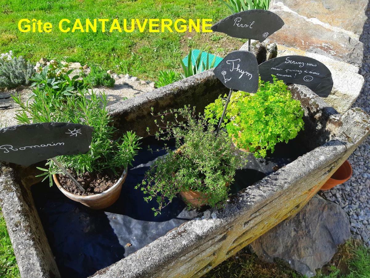 Gite Cantauvergne Villa Vebret Exteriör bild
